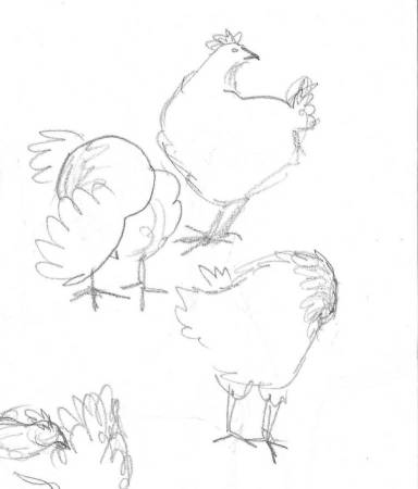 chickens 6 gimp