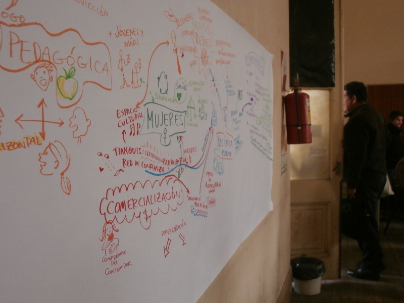 Drawn during the 'sharing in plenary' stage of the workshop. 