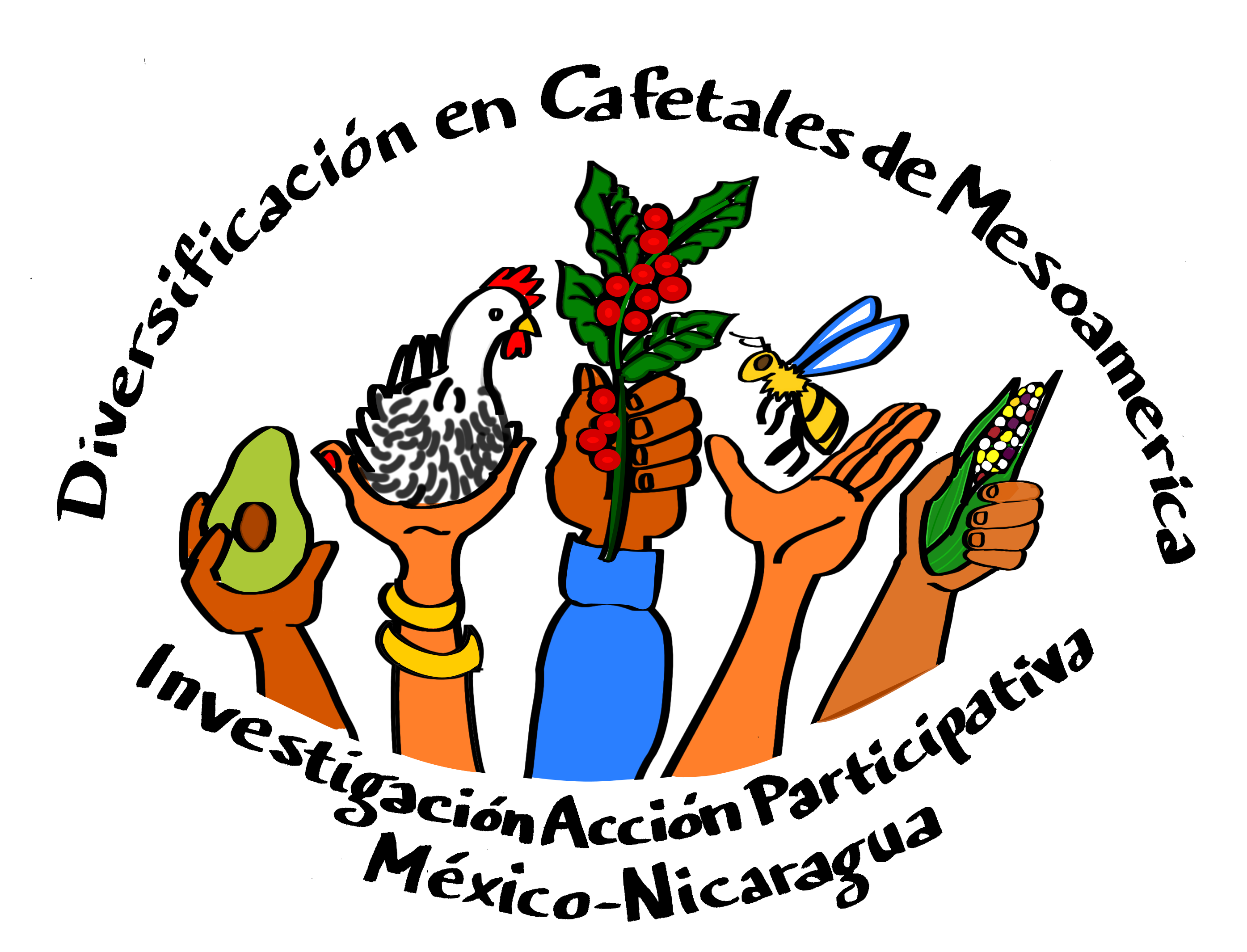 TFF logo color letras a mano